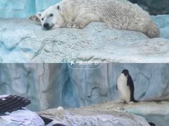 -珠海长隆海洋王国