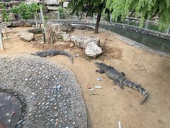 -石家庄市动物园