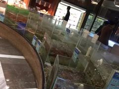 -小天鹅戴斯酒店鲸鲨百汇创作料理