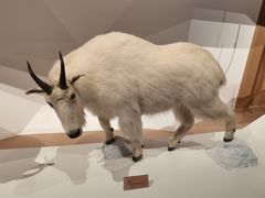 -陕西自然博物馆