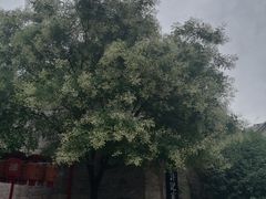 -回龙窝历史文化街区