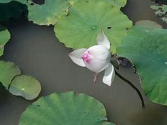 -贵阳市花溪国家城市湿地公园