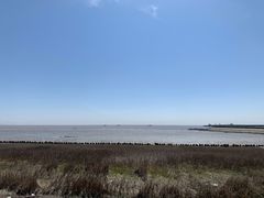 -芦潮港集贸市场