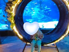 -沈阳海洋探索中心