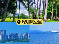 -顺德公·广东猪肚鸡(车公庙总店)