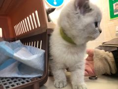 -仁华宠物医院(青羊店)