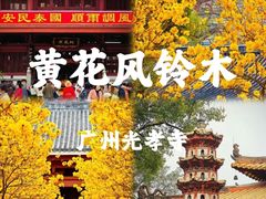 -光孝寺