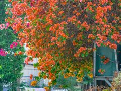 -天河客运站(地铁站)