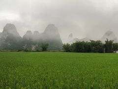 -明仕田园
