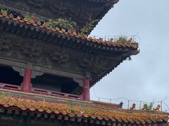 -北陵公园