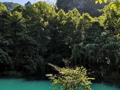 -1973继光香香鸡(曲阳路店)