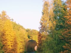 -云溪植物园