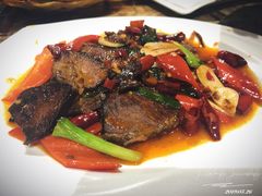 -新疆红柳花餐厅(新洲店)