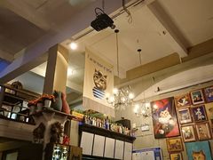 -猫咪博物馆(顶澳仔猫街店)