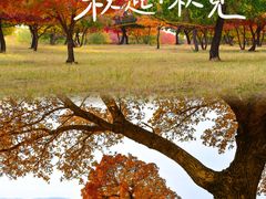 -五角枫生态旅游景区