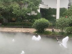 -广富林宰相府酒店·水云间