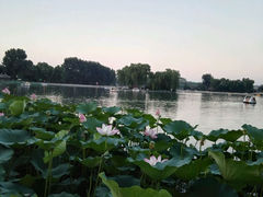 android_upload_pic-甲丁坊