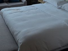 -圣爵菲斯大酒店(长沙世界之窗店)