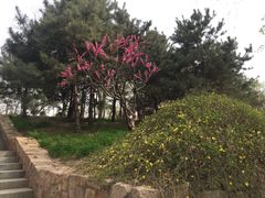 -北坞公园