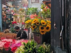 -循礼门鲜花花市(武汉循礼门店)