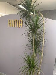 点击看大图 -XIMA·美发沙龙