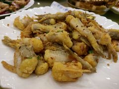 -鸿达渔港