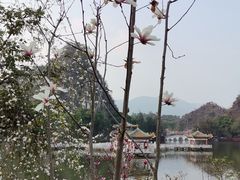 -星湖旅游景区七星岩