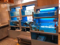 水产区-莫山小馆(百花店)