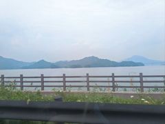 -浔味·山屿湖·正宗淳牌全鱼宴老字号