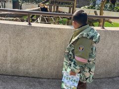 -杭州少年儿童公园