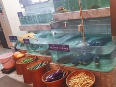 -鱼你相聚·河鲜馆(袁家岭店)