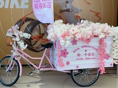 -半天妖烤鱼(融创茂店)