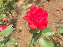 -人民公园(罗湖区)