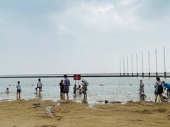 -碧海金沙