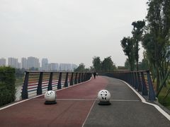 -府河摄影公园