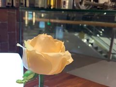 -1886德国汽车餐厅(外滩十六铺码头店)