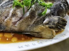 石斑鱼清蒸-四川小胡子海鲜(丁村万人海鲜广场店)