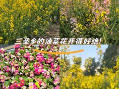 -三圣花乡旅游区