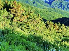 -妙峰山风景名胜区