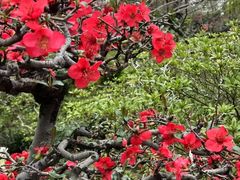 -建基泡馍·西安老字号·清真(永宁店)