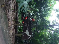 iphone_upload_pic-河川生态园