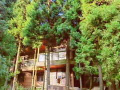 -武陵山森林公园