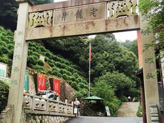 -十八棵（老龙井）御茶园(老龙井店)
