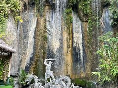 -西双版纳原始森林公园