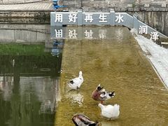 -西安城墙·碑林历史文化景区