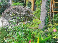-阳光山水江湖菜馆(西山龙门店)