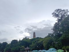 -惠州西湖丰渚园