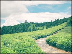 -东钱湖旅游度假区