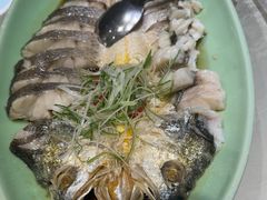-海派美食·家宴海鲜青岛菜·石锅鲽鱼头(东方城店)