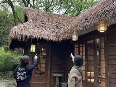 -中国茶叶博物馆(双峰馆区)